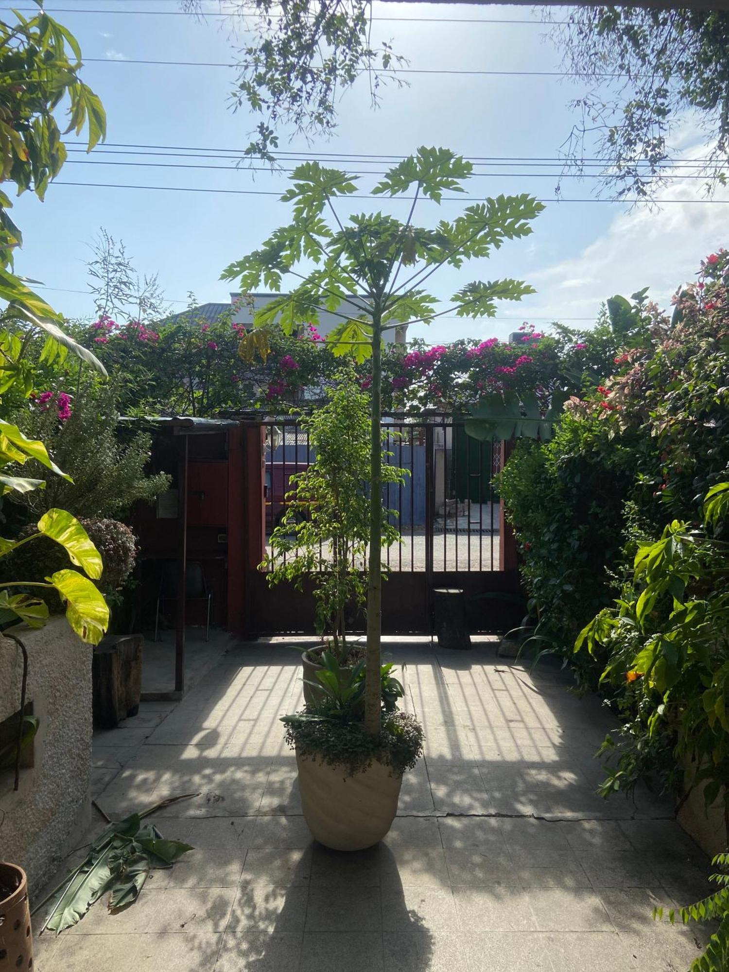 Apartamento Hechtech House Acra Exterior foto