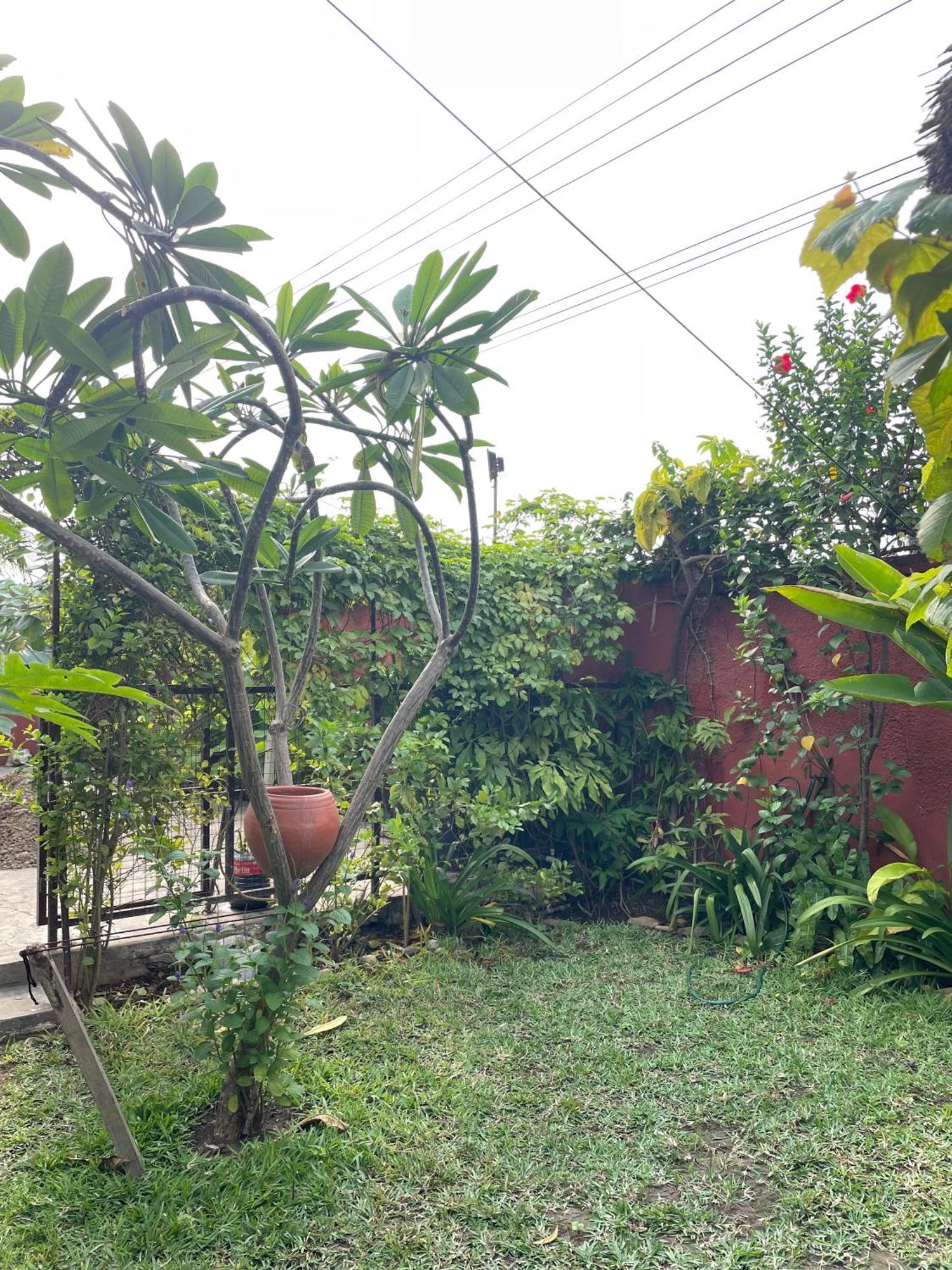 Apartamento Hechtech House Acra Exterior foto
